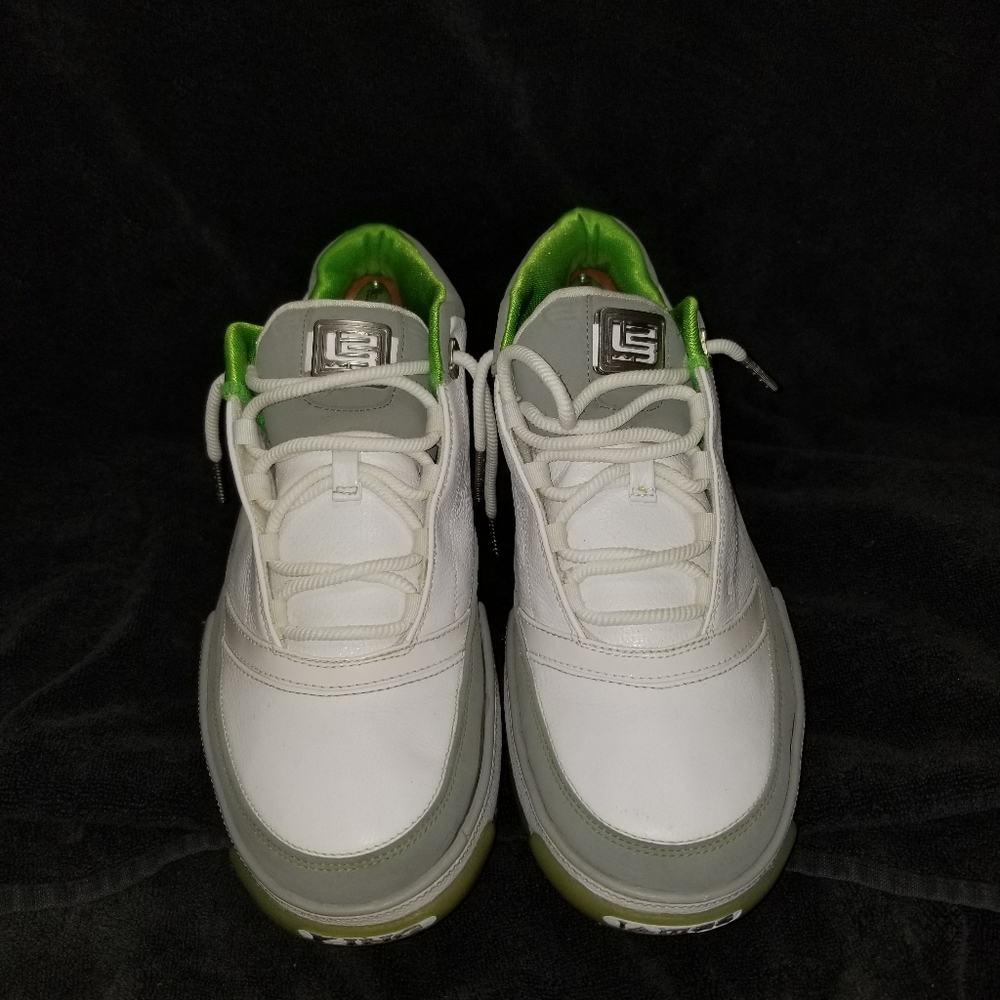 Nike Zoom LeBron Low ST